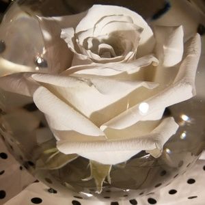 Meet your Posher, Regina